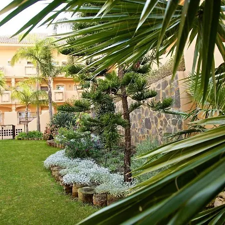 Aloha Hill Club 36 *